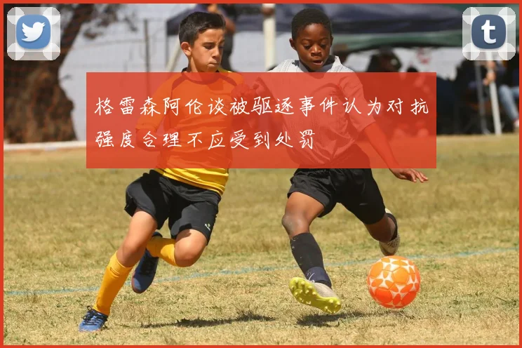 格雷森阿伦谈被驱逐事件认为对抗强度合理不应受到处罚