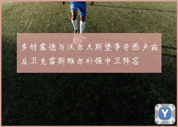 多特蒙德与沃尔夫斯堡争夺图卢兹后卫克雷斯维尔补强中卫阵容