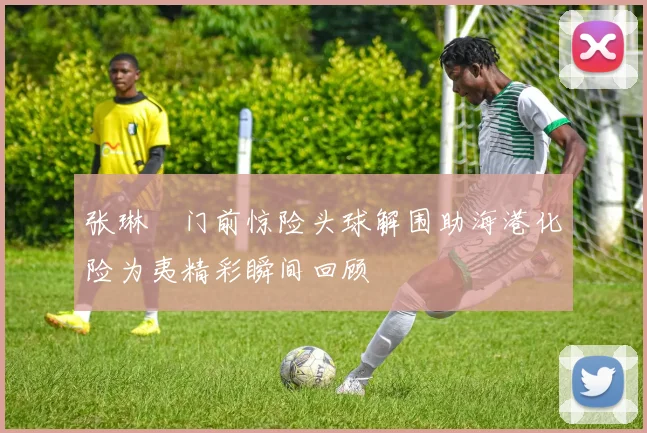 张琳芃门前惊险头球解围助海港化险为夷精彩瞬间回顾