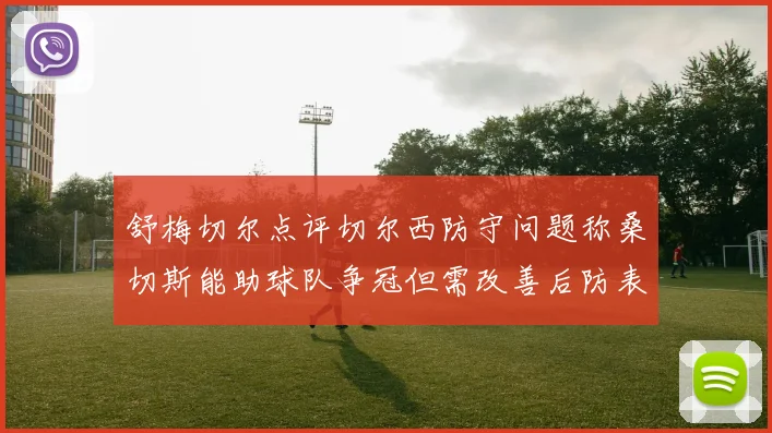 舒梅切尔点评切尔西防守问题称桑切斯能助球队争冠但需改善后防表现