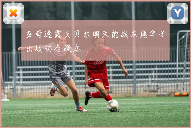 芬奇透露戈贝尔明天能战灰熊华子出战仍存疑虑